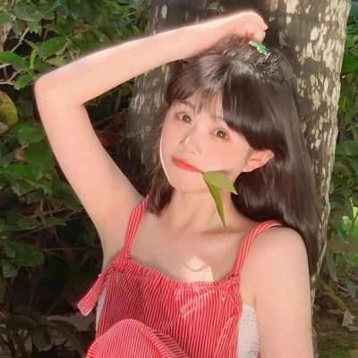 鸟人助手版本1.2.0下载
